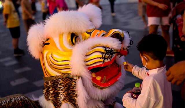 El Año del Tigre traerá reactivación y prosperidad. Foto: AFP