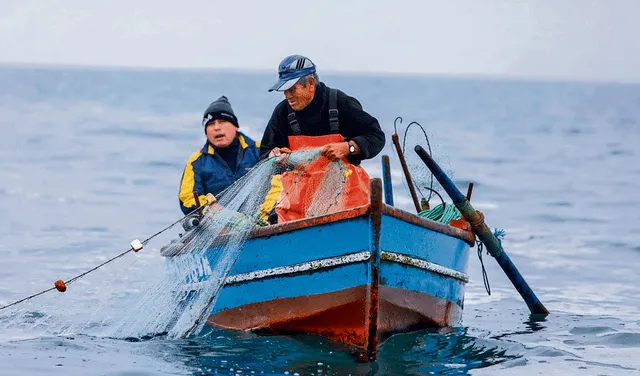 Protección. La sobreexplotación de los recursos pesqueros afecta de forma directa el trabajo de los pescadores artesanales y la seguridad alimentaria.