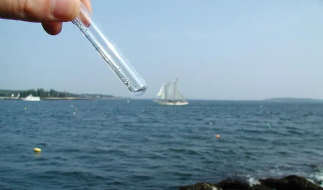 Recolección de agua en el golfo de Maine para esta investigación. Crédito: Stepanauskas et al.