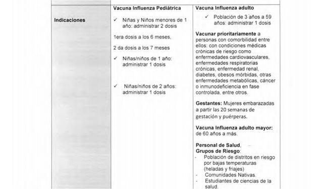 Vacuna contra la influenza. Foto:  captura resolución Minsa.
