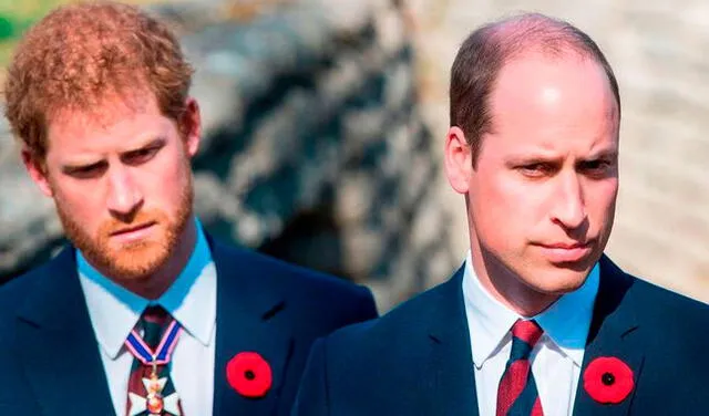 La tensión habría crecido entre los príncipes William y Harry.
