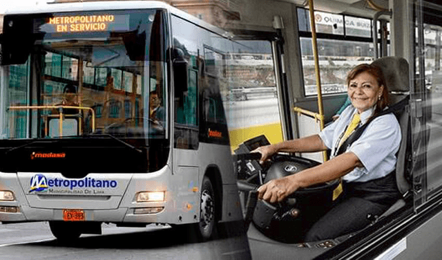 Metropolitano de Lima: conductores y conductoras del Metropolitano cumplen ciertos requisitos de la ATU para desempeñar sus funciones