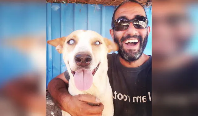 YouTube viral: perrito ciego escucha la voz de su rescatista y corre para ‘abrazarlo’