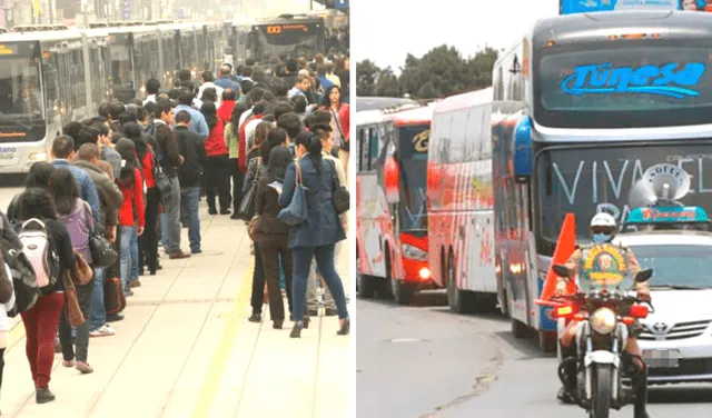 ¿Habrá paro de transportistas este miércoles 23 de noviembre? Revisa si funcionará el transporte público e interprovincial | MTC. Foto: composición LR/capturas de El Popular/TNews/referencial