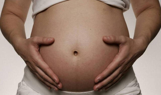 Conoce el desplazamiento del espermatozoide luego de ingresar al aparato reproductor de la mujer para lograr un embarazo. Foto: EFE