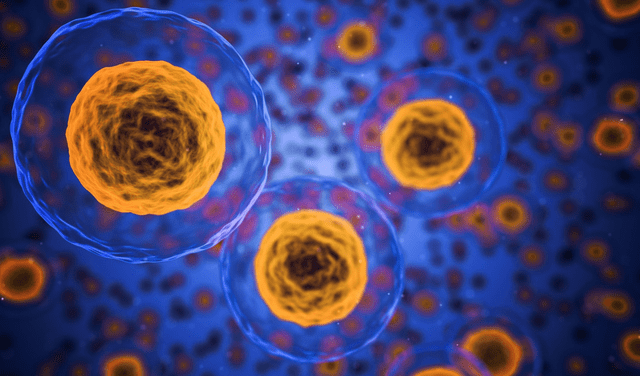 La citología estudia la célula. Foto: Pixabay