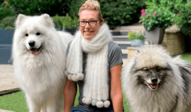 Mujer paga 253 dólares para que le fabriquen una bufanda con los pelos de sus perros
