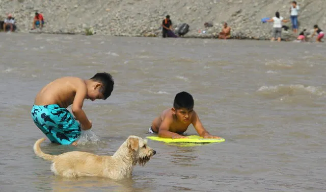 Dos pequeños junto a su mascota juegan dentro del río. Decenas de personas en la rivera del río Lurín.  Foto: Luis Jiménez - La República