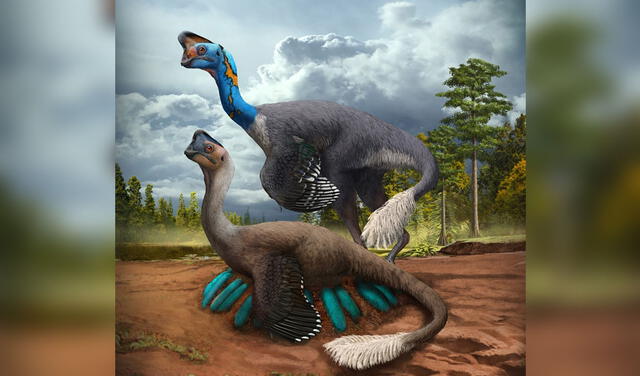 Representación de una pareja de Oviraptorosaurios que cuida su nido. Imagen: Zhao Chuang