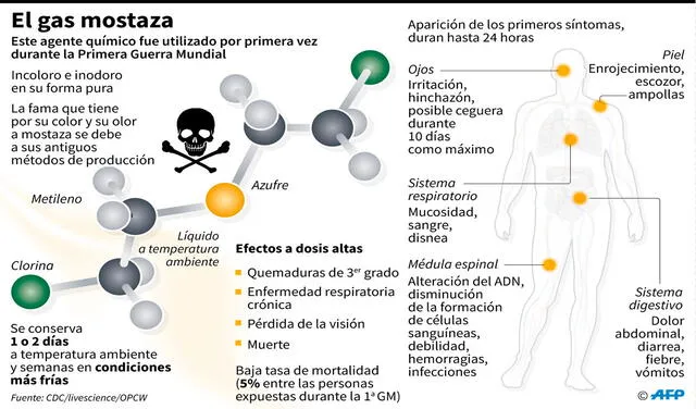Efectos del gas mostaza sobre el cuerpo humano. Foto: AFP