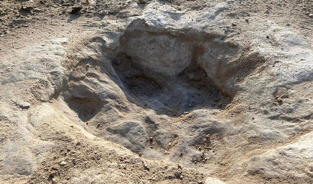 Las huellas fueron halladas en el Parque Estatal del Valle de los Dinosaurios. Foto: AFP