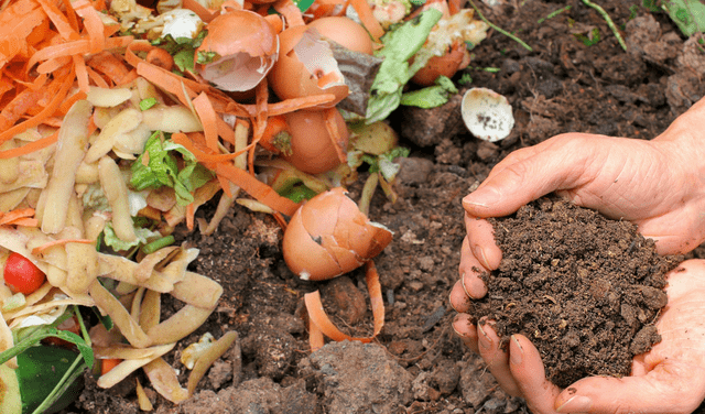Los residuos orgánicos sirven para elaborar compost. Foto: Pixabay