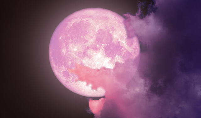 Los europeos, en constraste, llaman a este fenómeno la Luna Rosa por los florecimientos en la temporada de junio. Foto: difusión