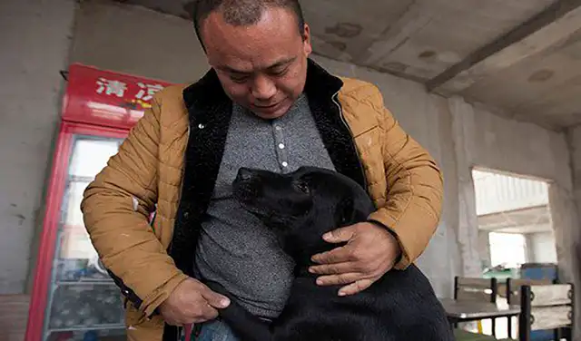 Facebook viral: hombre gasta su fortuna para crear un refugio y salvar a perros callejeros