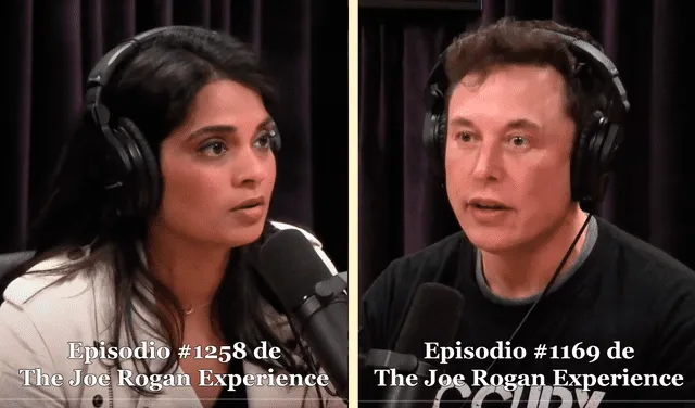 Las intervenciones de Musk y Gadde en el podcast The Joe Rogan Experience