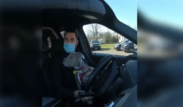 Facebook viral: Policía rescata a perro de la calle y semanas después decide adoptarlo