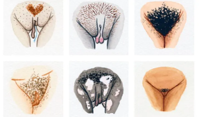 Todas las vulvas son diferentes, y no por ello son mejores o peores. Foto: The Vulva Gallery