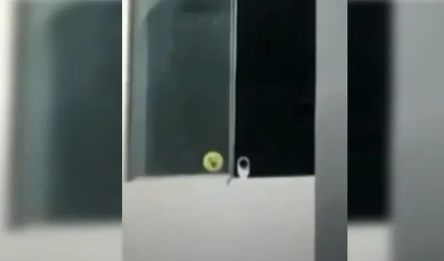 Hombre instaló cámaras de video desde su edificio. Foto: captura de América