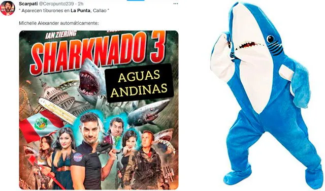 Tiburón avistado en La Punta genera divertidos memes y reacciones en Twitter