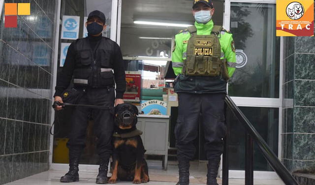 Facebook viral: municipio de Lurín adopta a perros sin hogar y los integra a la brigada canina