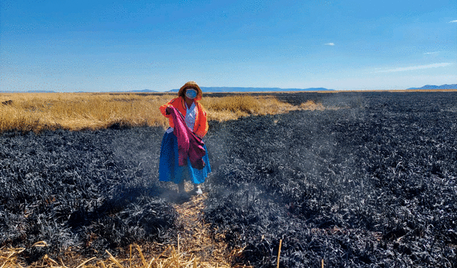 Incendio en Los Uros arrasó con cerca de 10 hectáreas de totorales. Foto:  Liubomir Fernandez / URPI-LR