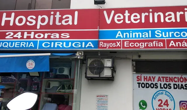 Veterinaria Animal Surco. Foto: Jessica Merino / URPI-LR