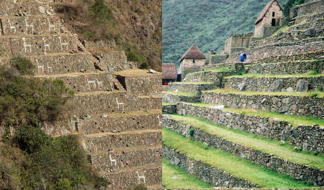 Andenes Choquequirao y Machu Picchu