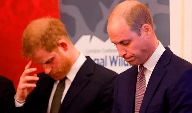 Príncipe Harry y Wiliam furiosos con documental de la princesa Diana y sus supuestos intentos de suicidio.