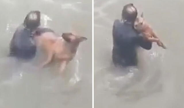 Facebook viral: hombre se lanza al mar para rescatar a perro callejero que trataba de mantenerse a flote