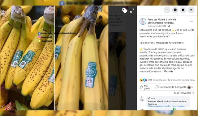 Es falso que el plátano de tallo verde fue madurado de manera química. Foto: captura en Facebook.