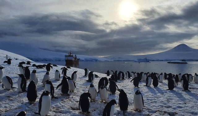 A pesar del imprevisible clima, el equipo destaca lo maravilloso que los rodea, como las montañas, los icebergs y los pingüinos. Foto: BBC News Mundo