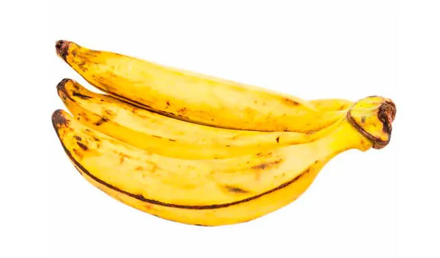 Los plátanos palillo son similares al de seda en aspecto, pero más grandes. Foto: Cornershop