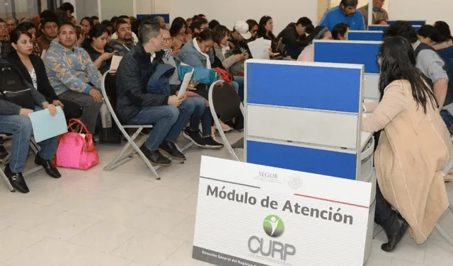 El CURP fue establecido el 23 de octubre de 1996, mediante su publicación en el Diario Oficial de la Federación. Foto: Segob