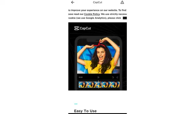 Detalles de la aplicación anunciada en TikTok. Foto: La República