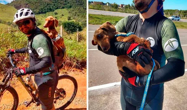 Facebook viral: ciclistas detienen su recorrido al rescatar a perrito abandonado en medio de la carretera