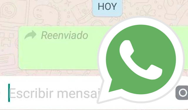 WhatsApp: ¿cómo evitar que aparezca la etiqueta “reenviado”?