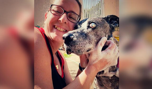 Facebook viral: perro consigue una nueva vida tras vivir en un hogar abusivo y pasar 10 años en un refugio
