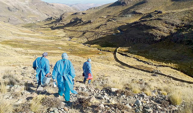 Valor. Las brigadas caminan seis horas para vacunar en Puno. Foto: difusión