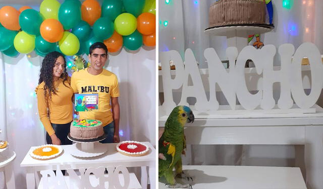 Facebook viral: familia arma una gran fiesta en casa para celebrar el primer cumpleaños de su loro