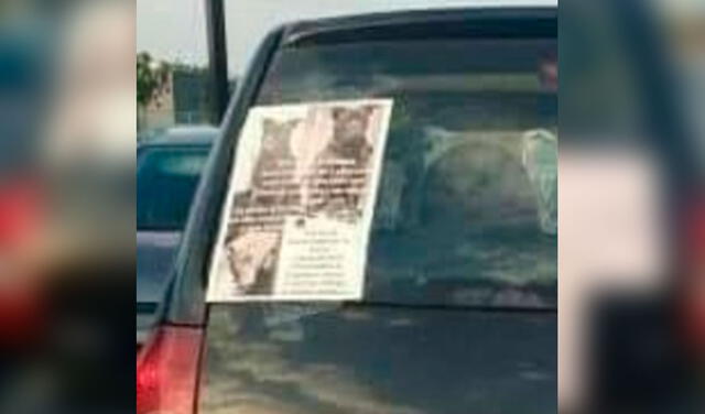 Facebook viral: conductor se disculpa por manejar lento tras salir a buscar a su perro que estaba perdido