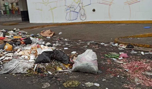 Desperdicios acumulados como cartón, papeles, botellas y alimentos. Foto: Giuliana Castillo/URPI-LR