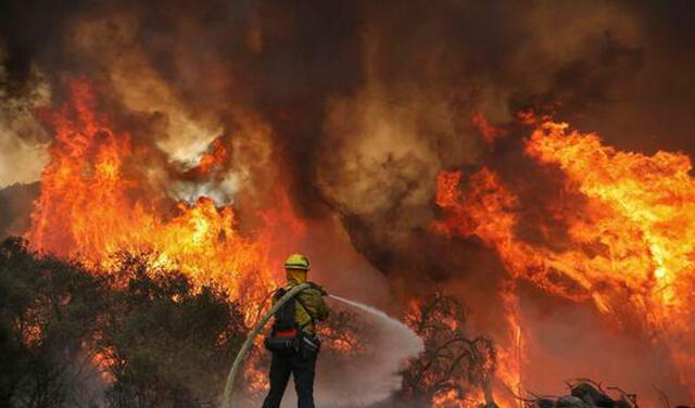 Incendios forestales: bomberos estarán más protegidos gracias a un nuevo proyecto de código abierto