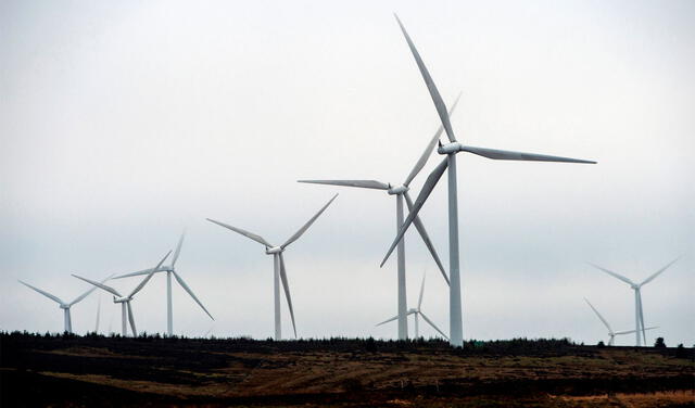 La energía eólica es un tipo de energía renovable que puede reemplazar a los combustibles fósiles. Foto: AFP