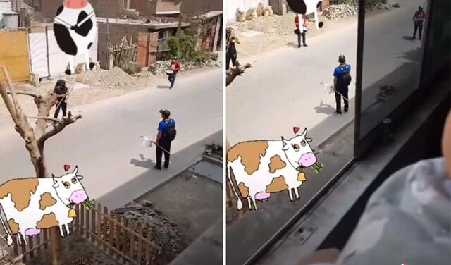 Mujer escucha a banda cerca a su casa y pide que toquen “La vaca lola” para su bebé [VIDEO]