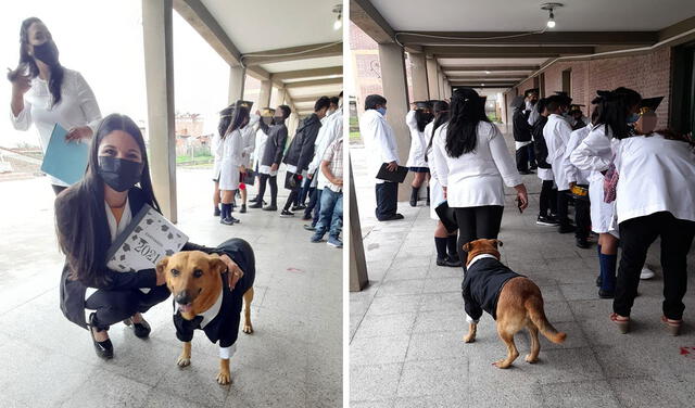 Facebook viral: invitan a perro callejero para que asiste a una graduación y acompañe a los estudiantes