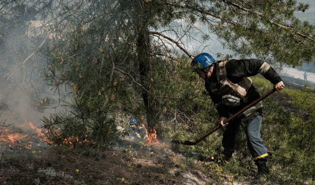 Los bomberos ganan más de US$ 28 dólares por hora en Estados Unidos. Foto: AFP