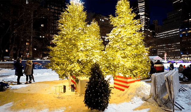 El árbol es uno de los símbolos más representativos de la Navidad