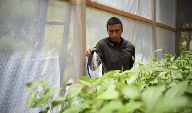 Para cuidar el medio ambiente, lo ideal es regar las plantas de noche y no de día. Foto: AFP