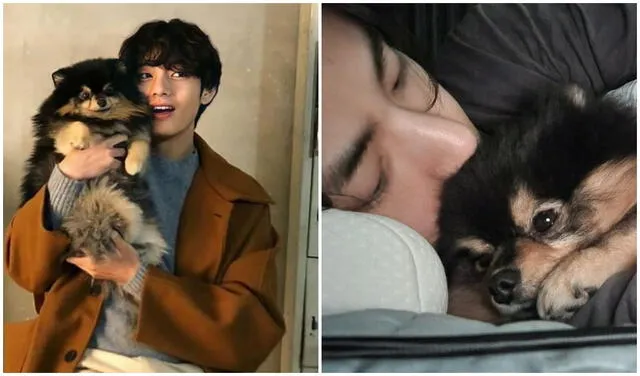 BTS: Taehyung brinda detalles sobre la salud de Yeontan. Foto: Composición LR / Imágenes HYPE y Twitter