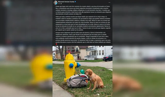 Facebook viral: mujer sale de casa y halla un perro abandonado con todas sus cosas atado frente a su puerta